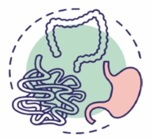 gastroenterologia-icono